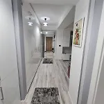 Apartamento Romanescu Park *