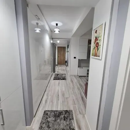 公寓 Romanescu Park Apartament