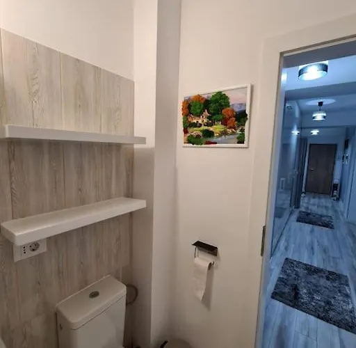 公寓 Romanescu Park Apartament *